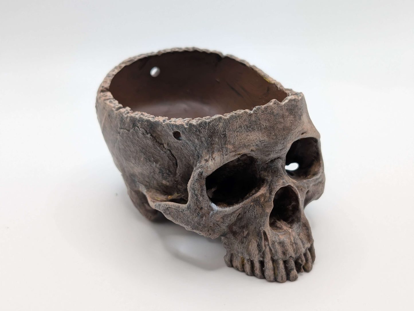 Skull Dice Tray