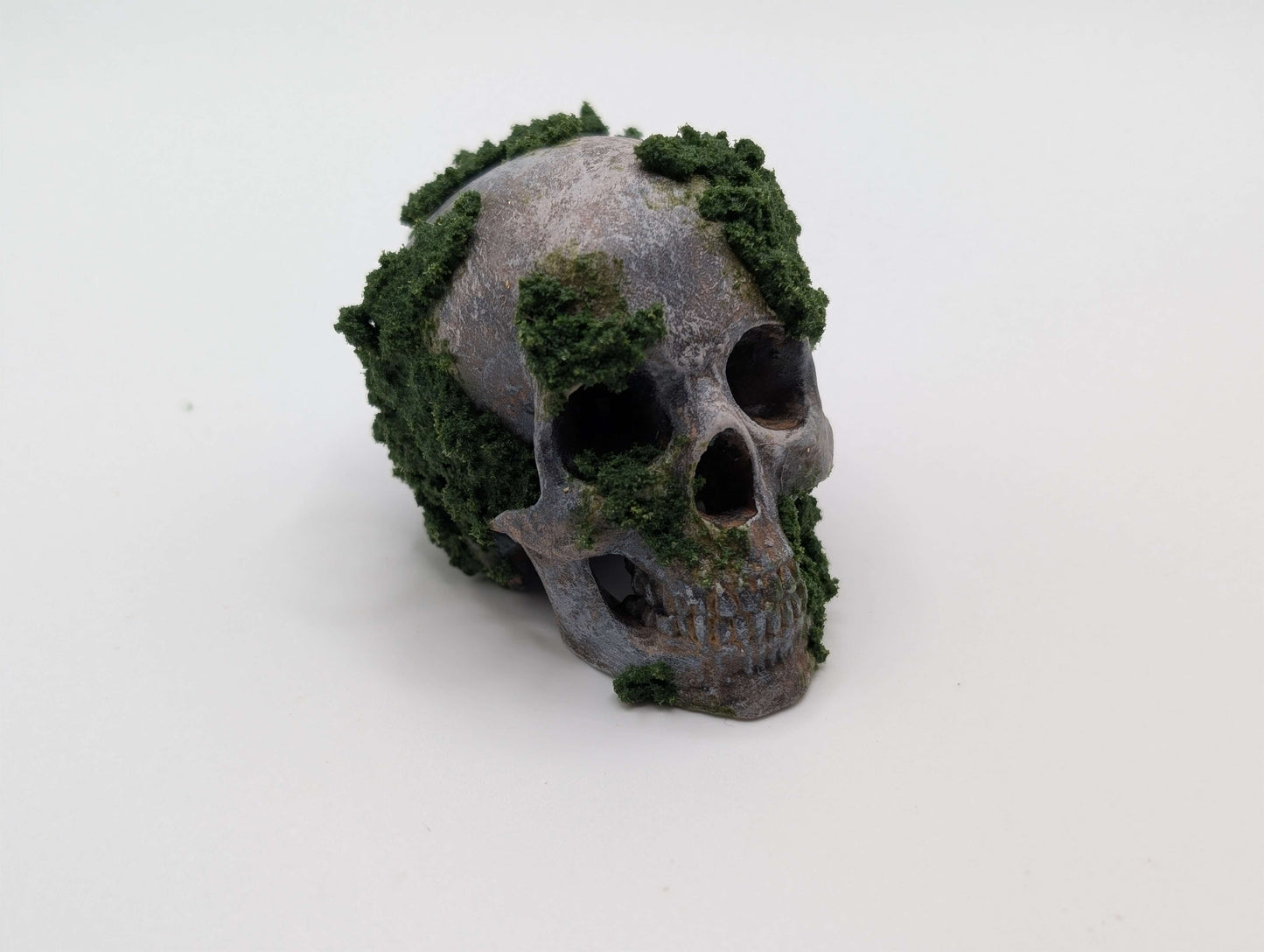 Small Mossy Skull