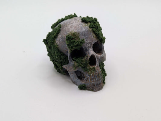Small Mossy Skull